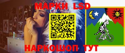 индика Обнинск