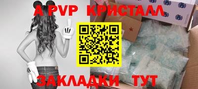 индика Обнинск