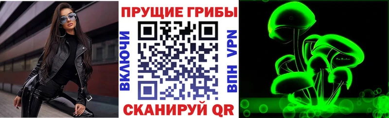 Галлюциногенные грибы Cubensis  МЕГА зеркало  Узловая 
