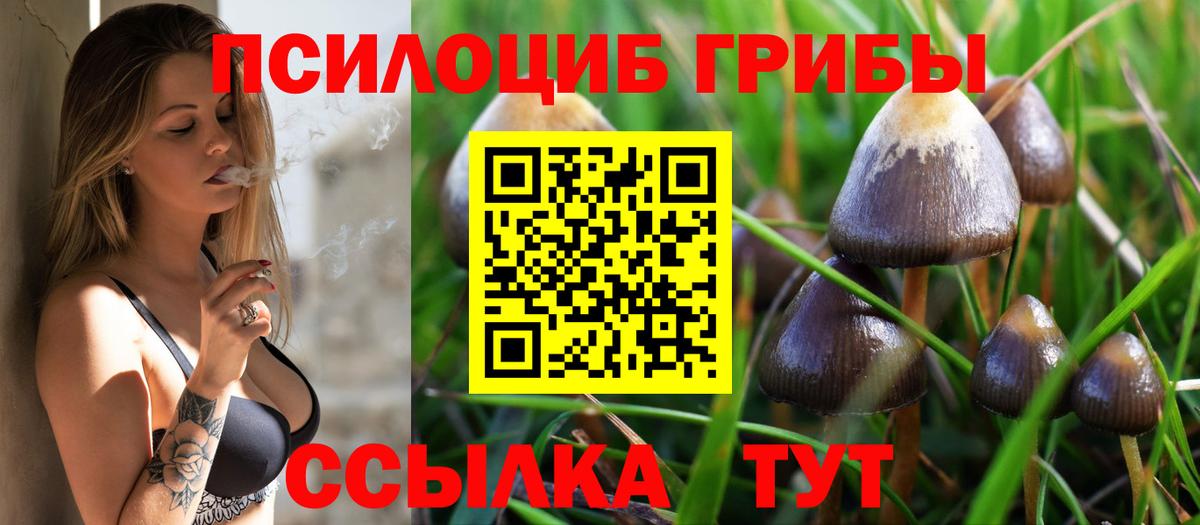 Псилоцибиновые грибы MAGIC MUSHROOMS  Вход с VPN  Узловая 