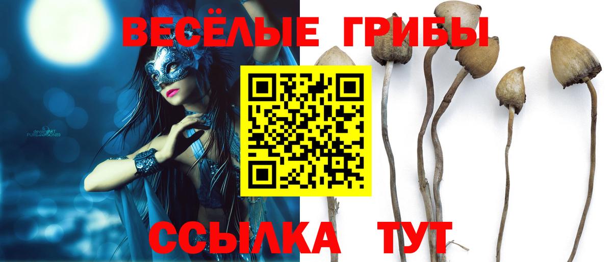 Псилоцибиновые грибы мухоморы Узловая